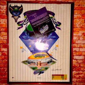 Vintage 1998 Framed MLB 1998 Tampa Devil Rays Collectible Memorabilia